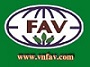 VNFAV Logo 90.jpg