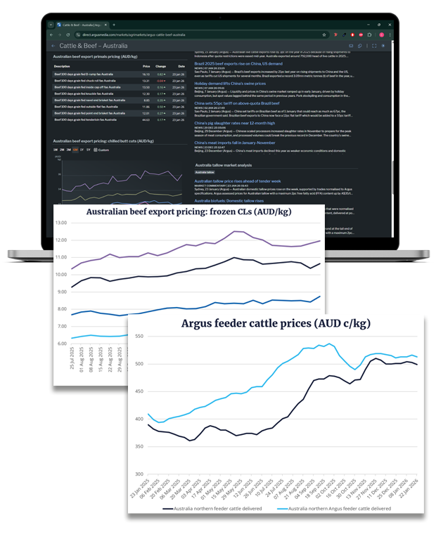 AGR_beef marketo lp image.png