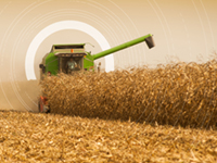 AGR_corn-field-harvest-200x150.jpg