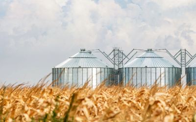 PRO_Untitled (47).png